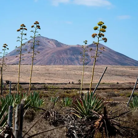 Twins Βίλα Lajares