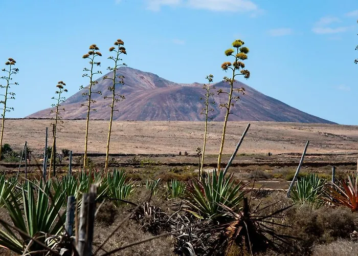 Twins ヴィラ ラハレス