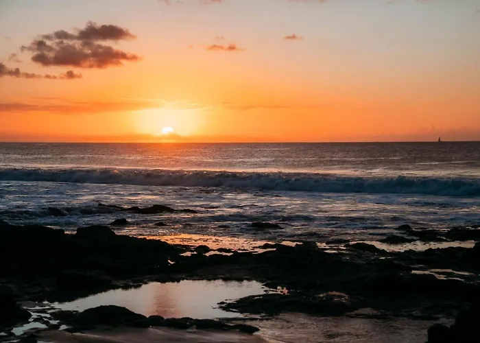 فيلة Twins لاجاريس