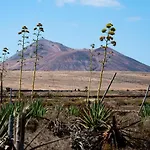 Twins Villa Lajares